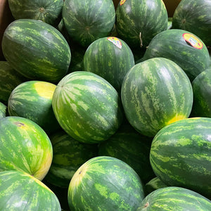 Large Seedless Watermelon