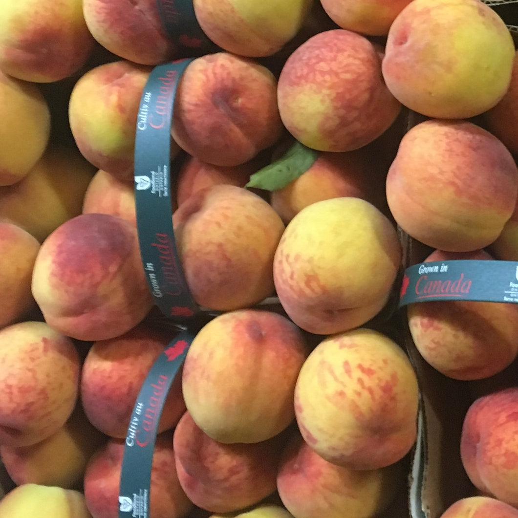 Ontario Peaches (3L Basket)
