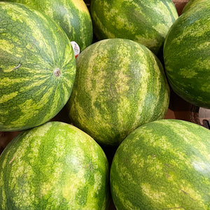 Large Seedless Watermelon