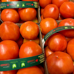 Ontario Field Tomato Basket (3L)