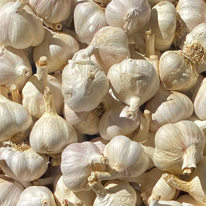 Ontario Garlic (Large)